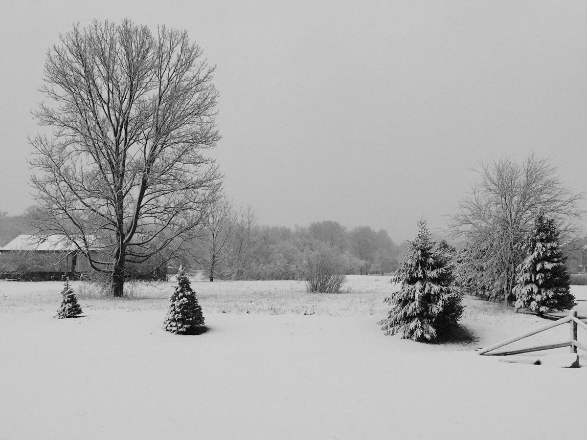Photos March 30 Snowfall Around Central Indiana Wish Tv