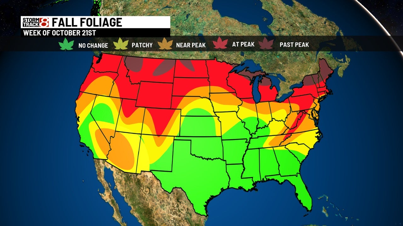Fall colors and the science behind why leaves change - Indianapolis ...