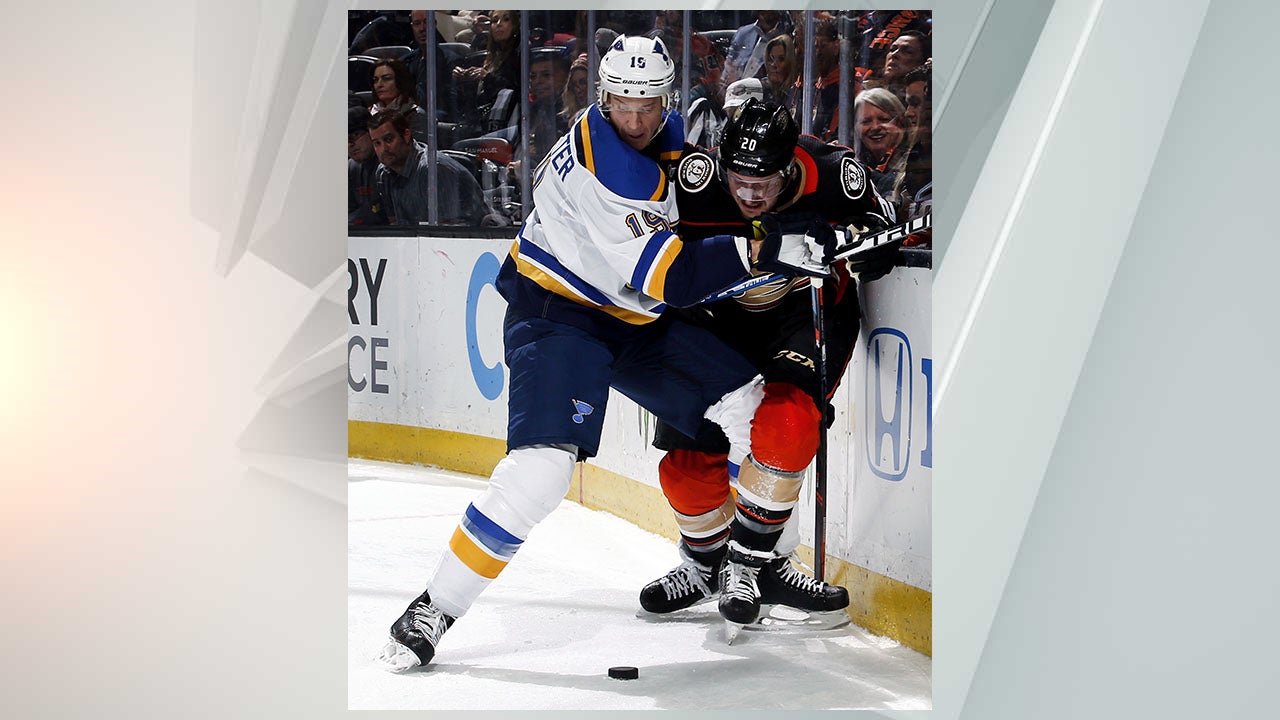 Blues defenseman Bouwmeester collapses on bench; hockey game postponed