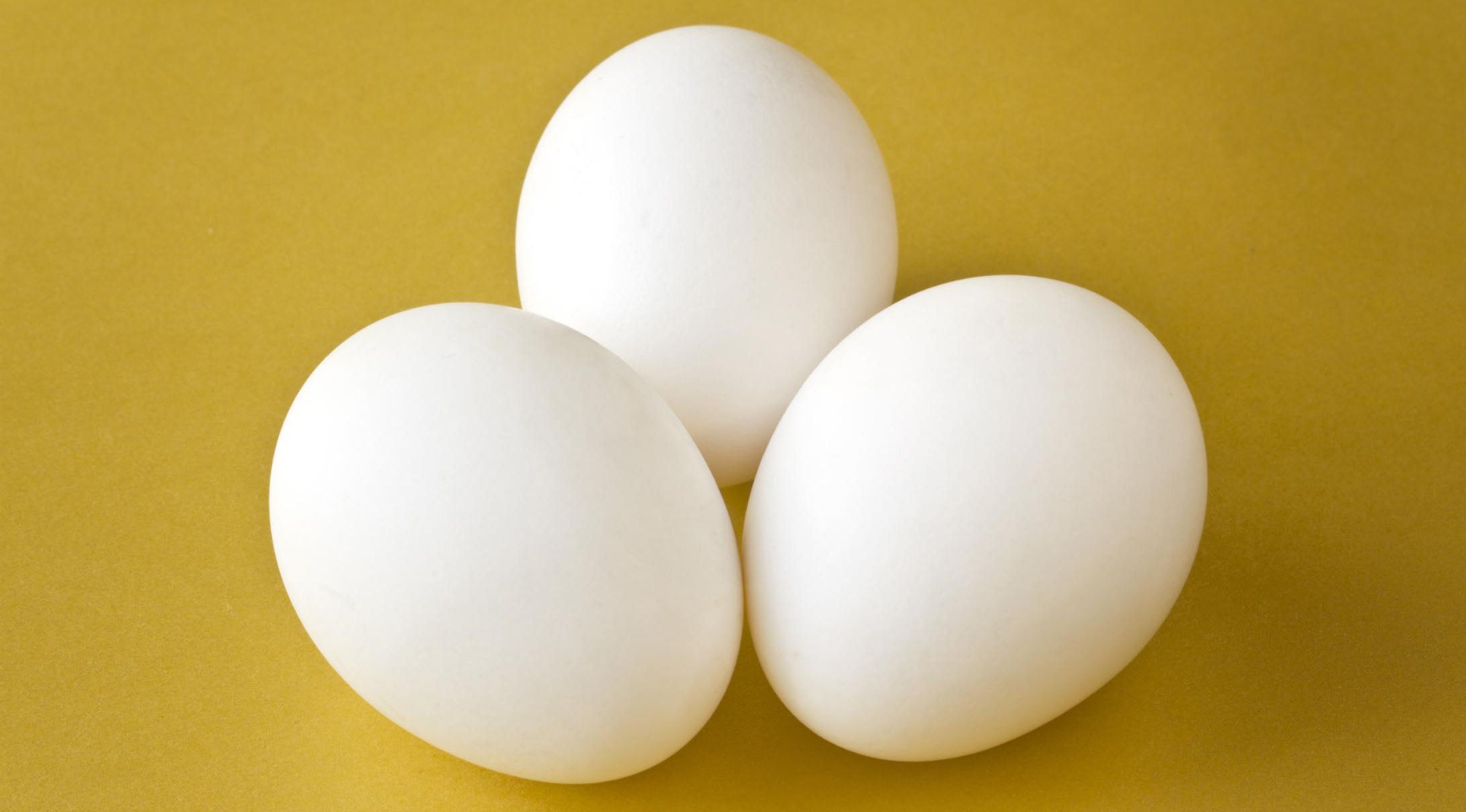 Как по английски будет яйцо. Egg на белом фоне. Оранжевое яйцо. Яйцо ng. Курица с яйцами.