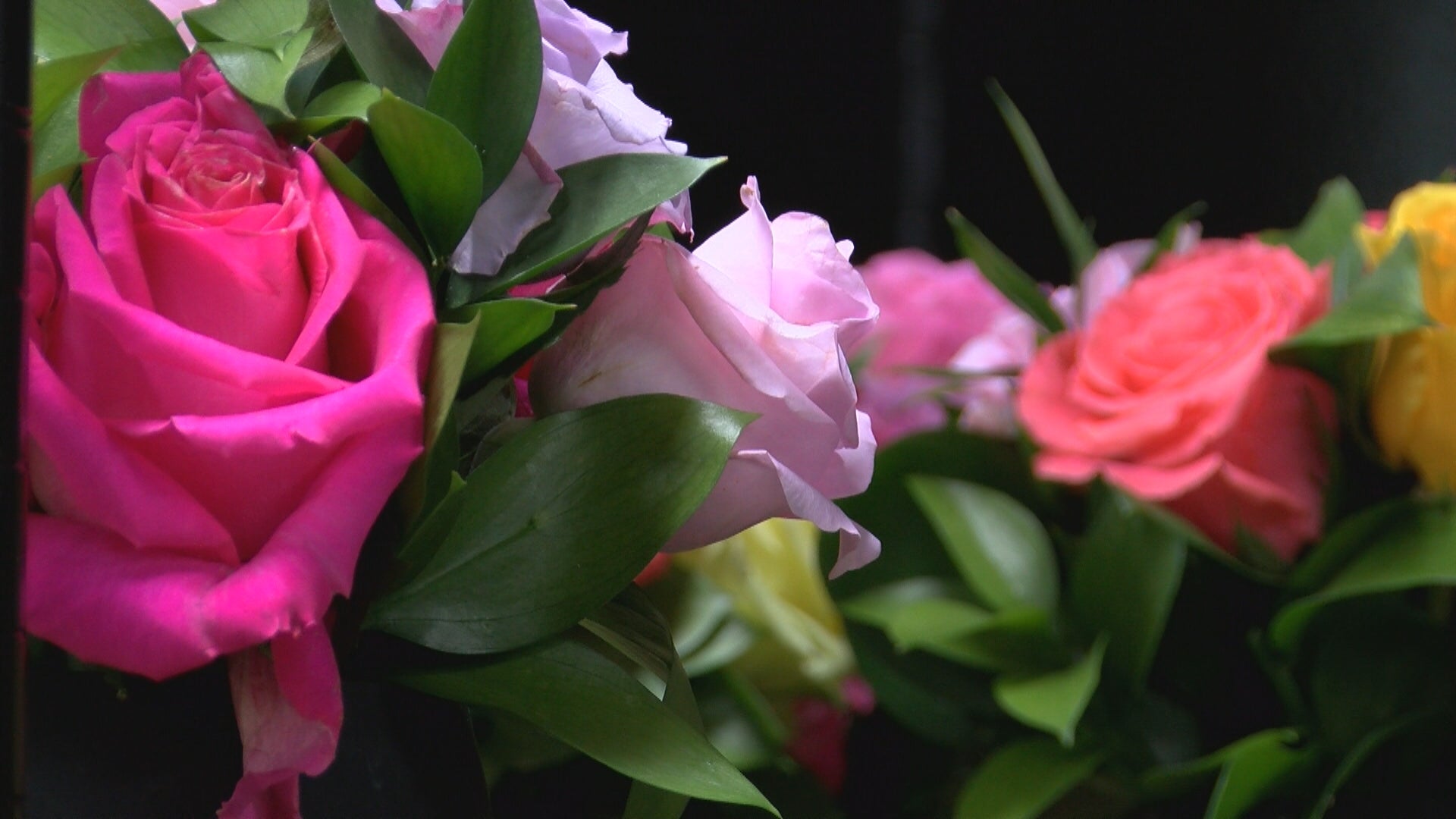 Florist explains why wedding flowers are going up in price – WISH-TV | Indianapolis News | Indiana Weather