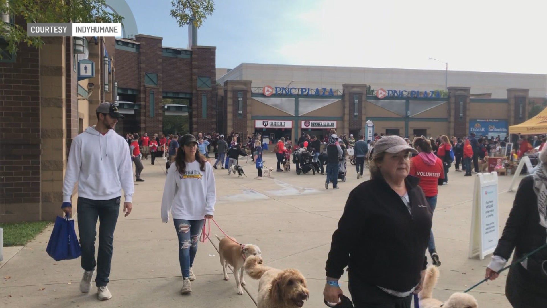 IndyHumane's largest fundraiser back at Victory Field