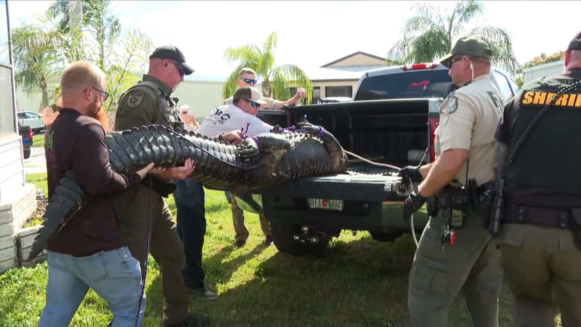 85-year-old woman killed by alligator in Florida - WISH-TV | Indianapolis News | Indiana Weather | Indiana Traffic