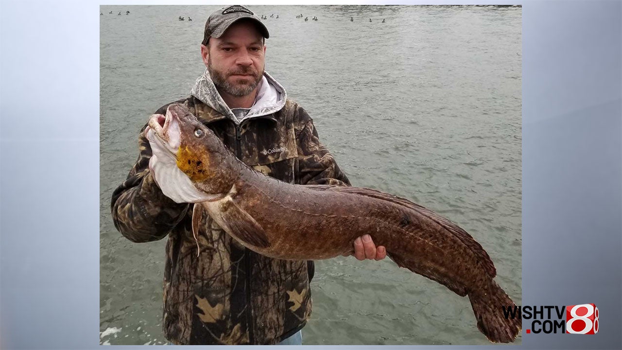 Indiana big-fish record falls for 3rd time since 2022 - Indianapolis News, Indiana Weather, Indiana Traffic, WISH-TV