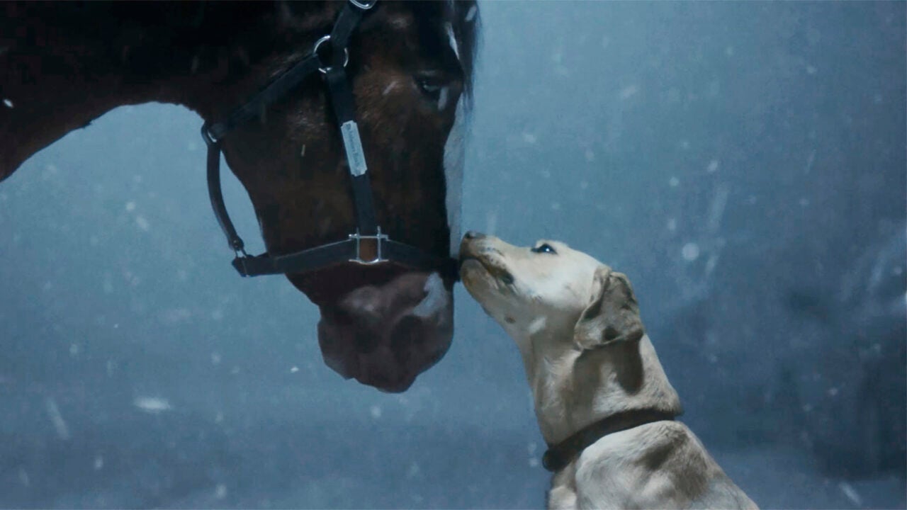 This photo provided by Anheuser-Busch shows the Budweiser 2024 Super Bowl NFL football spot. The perennial Super Bowl advertiser is bringing back fan favorites the Clydesdales and a Labrador, in a nod to previous commercials that aired during advertising's biggest night. Ahead of Super Bowl 58, some advertisers are releasing ads early in the hope of capitalizing on the buzz leading up to the game. (Anheuser-Busch via AP)
